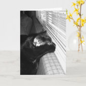Vermisste Black Cat Card Karte (Gelbe Blume)