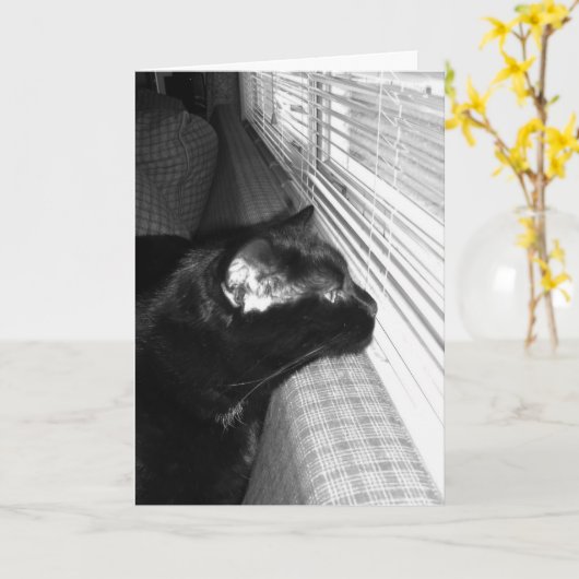 Vermisste Black Cat Card Karte (Gelbe Blume)