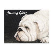 "Vermisste du" English Bulldog Postkarte