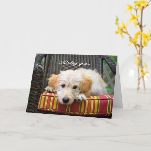 Vermisste Grußkarte Karte (Gelbe Blume)