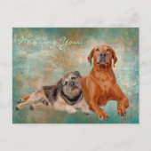 Vermisste Hunde Postkarte (Vorderseite)