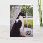 Vermisste Karte (Vorderseite)