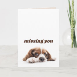 Vermisste Karte, Grußkarte für den Hund Dankeskarte