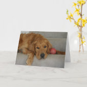 Vermisste Karte! Karte (Gelbe Blume)