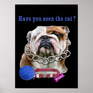 vermisste Katze Poster