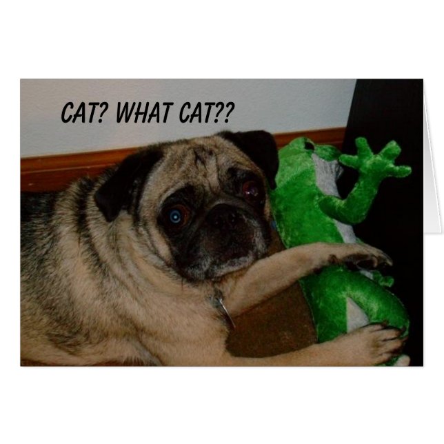 Vermisste Katzen-Karte (Vorderseite (Horizontal))