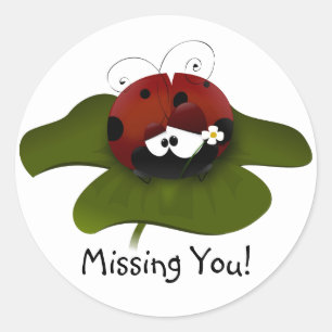 Vermisste Ladybug Runder Aufkleber