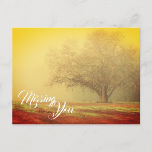 Vermisste Landschaft Postkarte (Vorderseite)
