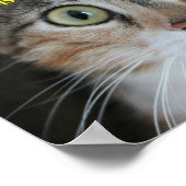 Vermisste Mind Cat Poster (Ecke)