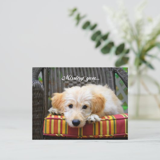 Vermisste Postkarte (Stehend Vorderseite)