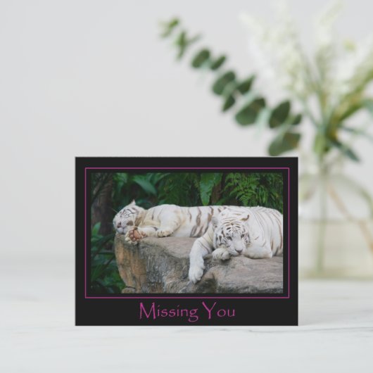 Vermisste Postkarte (Stehend Vorderseite)