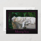 Vermisste Postkarte (Vorne/Hinten)