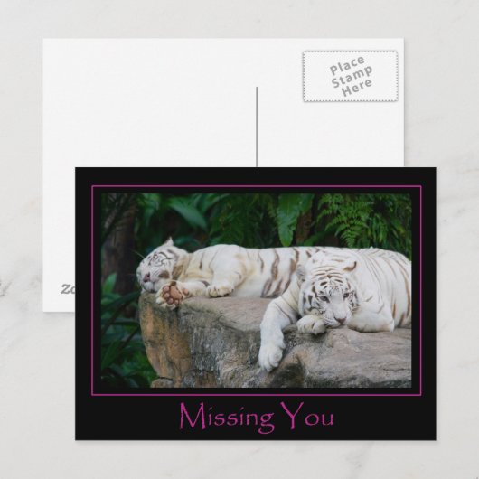 Vermisste Postkarte (Vorne/Hinten)