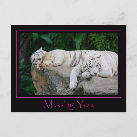 Vermisste Postkarte (Vorderseite)