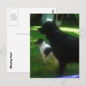 Vermisste Postkarte (Vorne/Hinten)