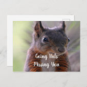 Vermisste Postkarte (Vorne/Hinten)