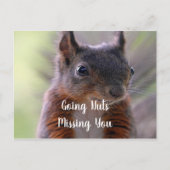 Vermisste Postkarte (Vorderseite)