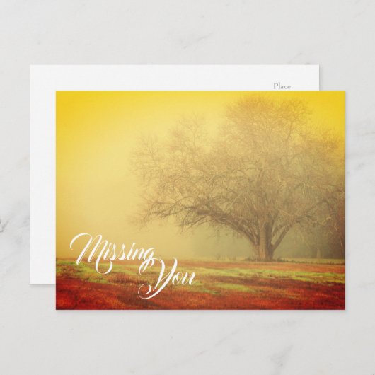 Vermisste Postkarte (Vorne/Hinten)