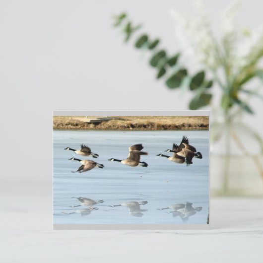 Vermisste Postkarte (Stehend Vorderseite)