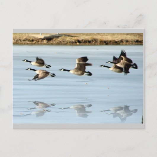 Vermisste Postkarte (Vorderseite)