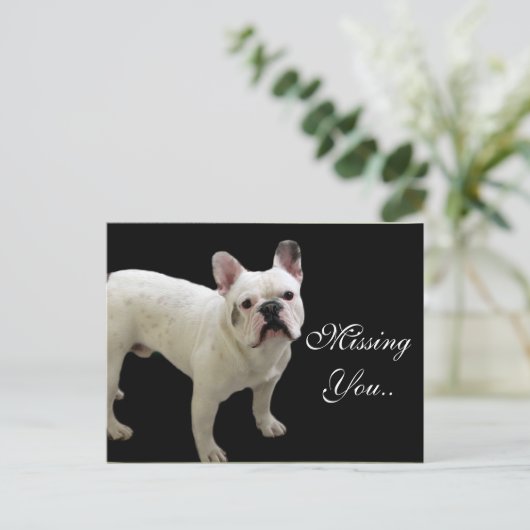 Vermisste Postkarte (Stehend Vorderseite)