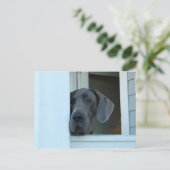 Vermisste Postkarte (Stehend Vorderseite)