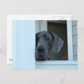 Vermisste Postkarte (Vorne/Hinten)