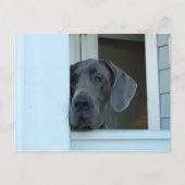 Vermisste Postkarte (Vorderseite)