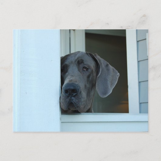 Vermisste Postkarte (Vorderseite)