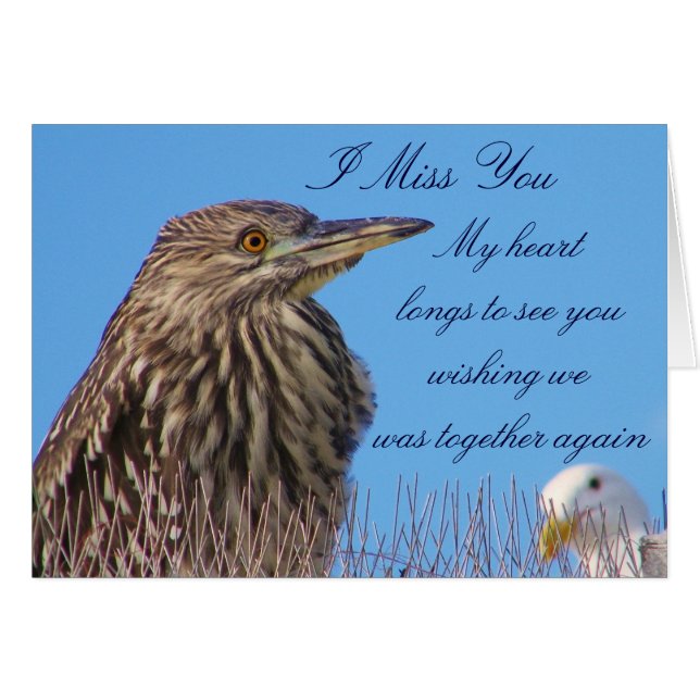 Vermisste Sie_ (Vorderseite (Horizontal))