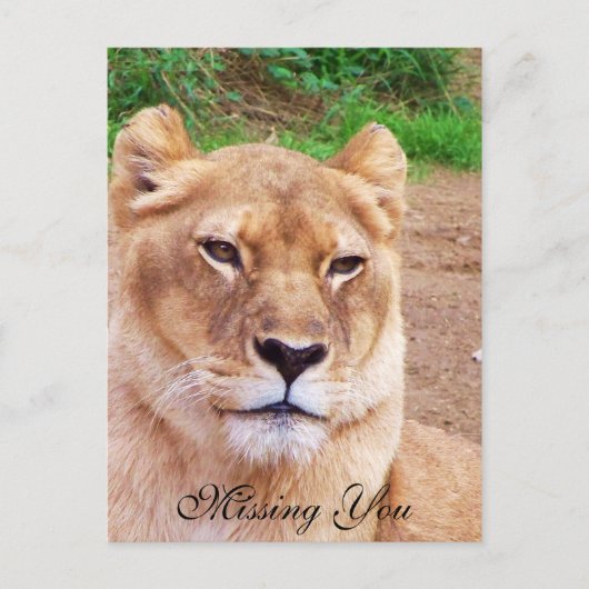 Vermisste Sie_ Postkarte (Vorderseite)