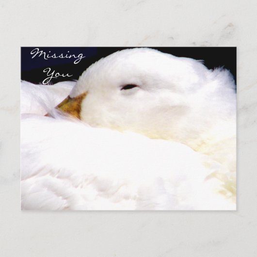 Vermisste Sie_ Postkarte (Vorderseite)