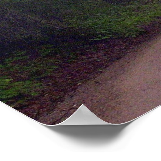 Vermisste Sun Poster (Ecke)