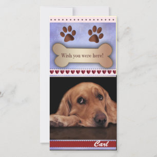 Vermisste Vorlage für Hunde