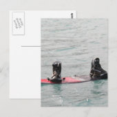 Vermisste Wakeboarder-Postkarte Postkarte (Vorne/Hinten)