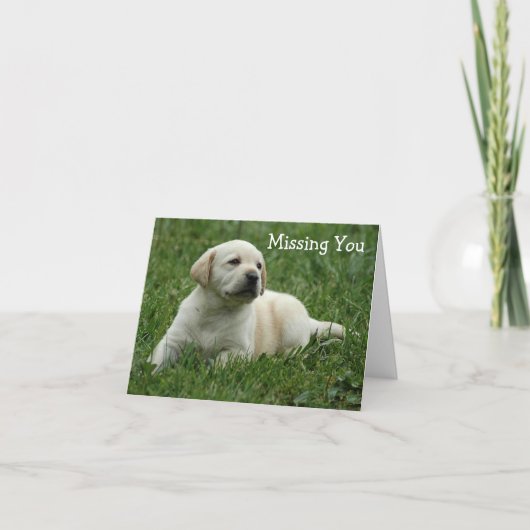 Vermisste Yellow Labrador Retriever Puppy Card Karte (Vorderseite)