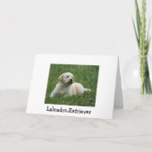 Vermisste Yellow Labrador Retriever Puppy Card Karte (Rückseite)