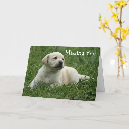 Vermisste Yellow Labrador Retriever Puppy Card Karte (Gelbe Blume)