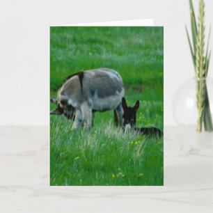 Vermisste You Nature-Szene Karte