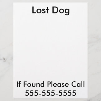 Vermisstenplakat für Hunde Flyer