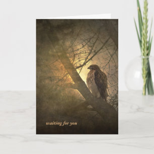 vermisster Baumhawk Karte