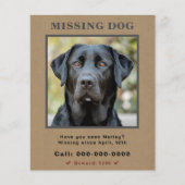 Vermisster Flyer für das benutzerdefinierte Foto (Vorne)