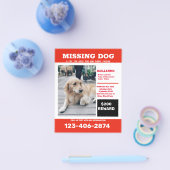 Vermisster Hund Foto und Plakat Flyer (Einzeln)
