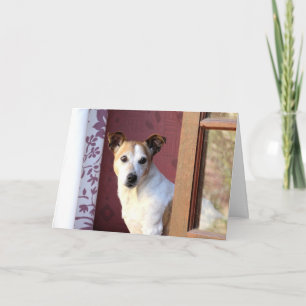 Vermisster Hund Karte
