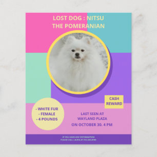 Vermisster Hund Modernes Farbposter mit Foto  Flyer