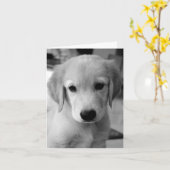 Vermisster Puppy Karte (Gelbe Blume)