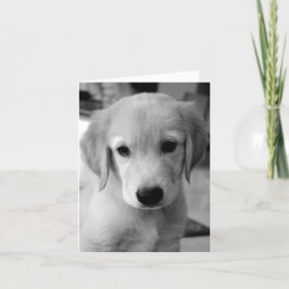 Vermisster Puppy Karte