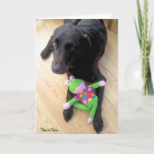 Vermisster Schokolade-Labrador mit Spielzeug-Foto Karte (Vorderseite)