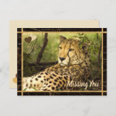 Vermisstes Foto Postkarte (Vorne/Hinten)