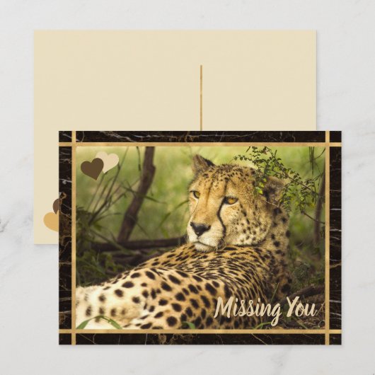 Vermisstes Foto Postkarte (Vorne/Hinten)